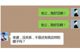 酉阳为什么选择专业追讨公司来处理您的债务纠纷？